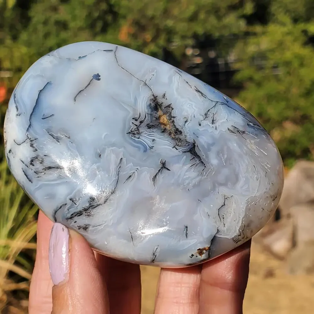 Dendritic Agate Multi-Color Pattern Translucent Freeform Crystal 258 Grams